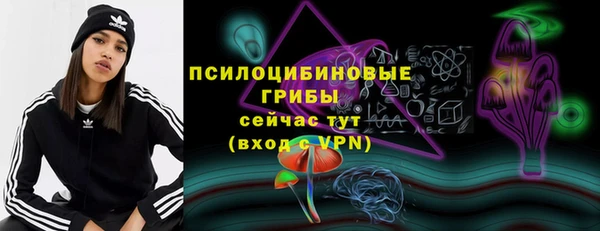 прущий лед Горно-Алтайск