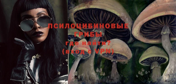 прущий лед Горно-Алтайск